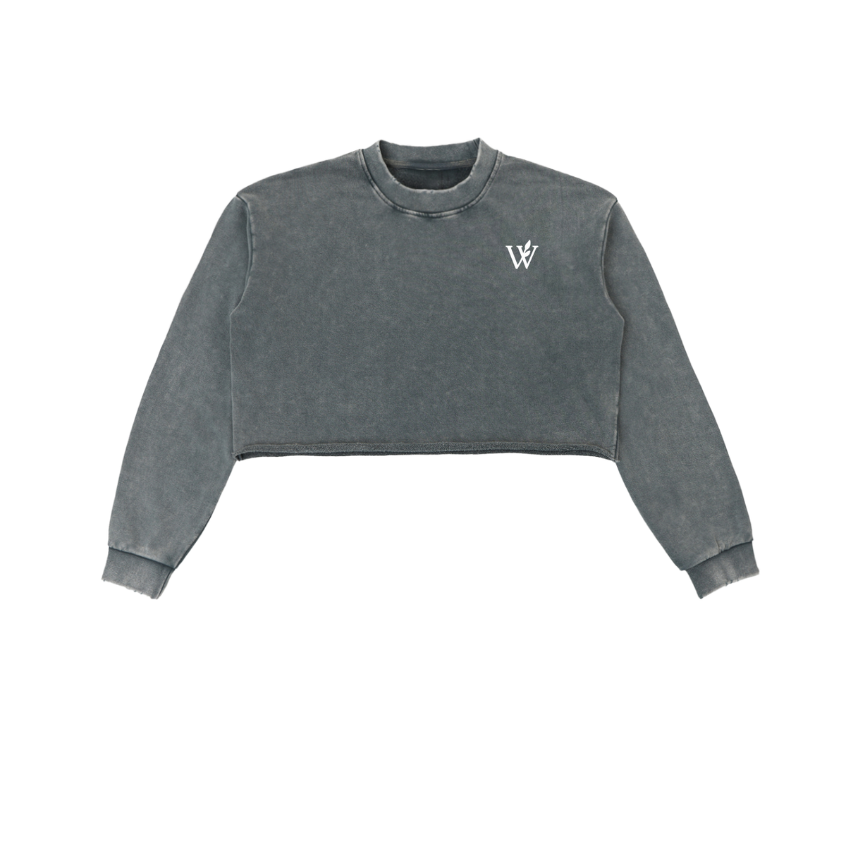 Snow Washed Raw Edge Cropped Sweatshirt