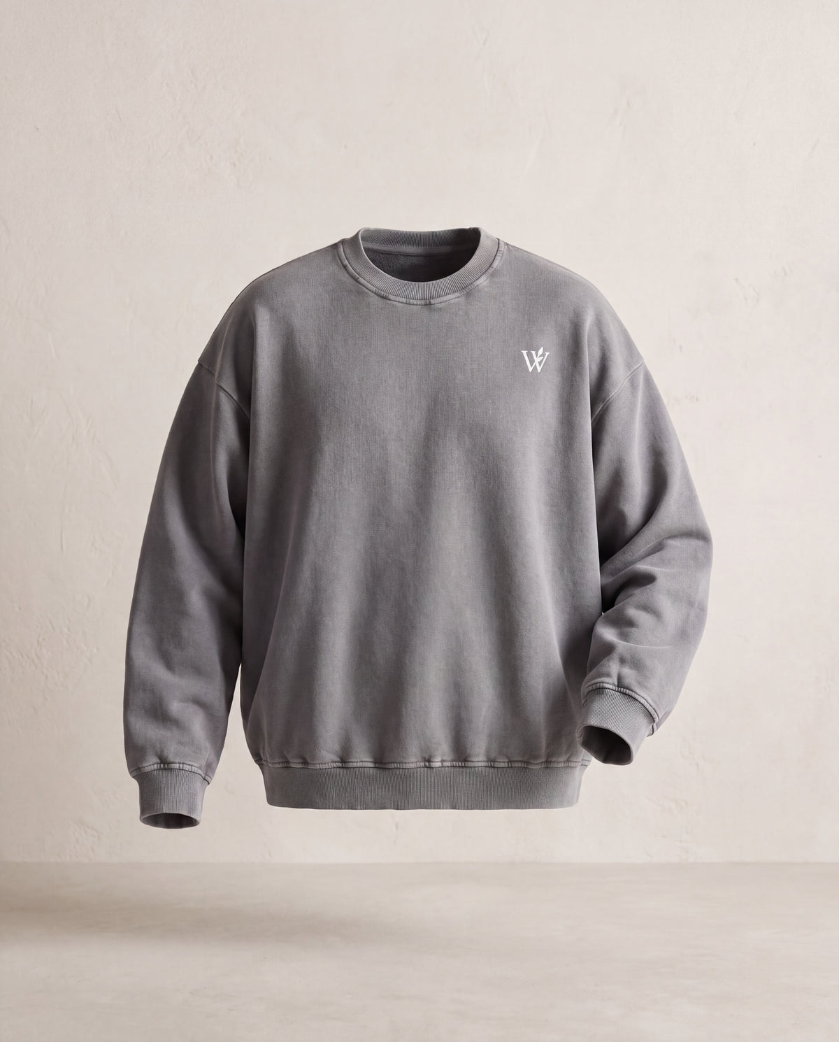 Snow Washed Oversized Sweatshirt