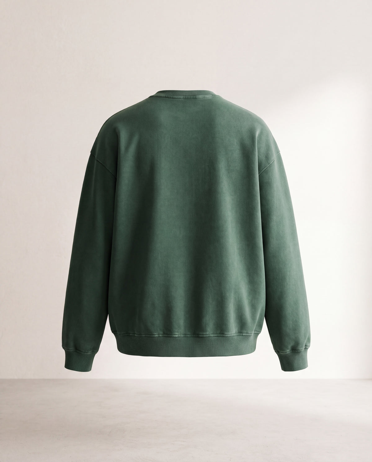 Snow Washed Oversized Sweatshirt
