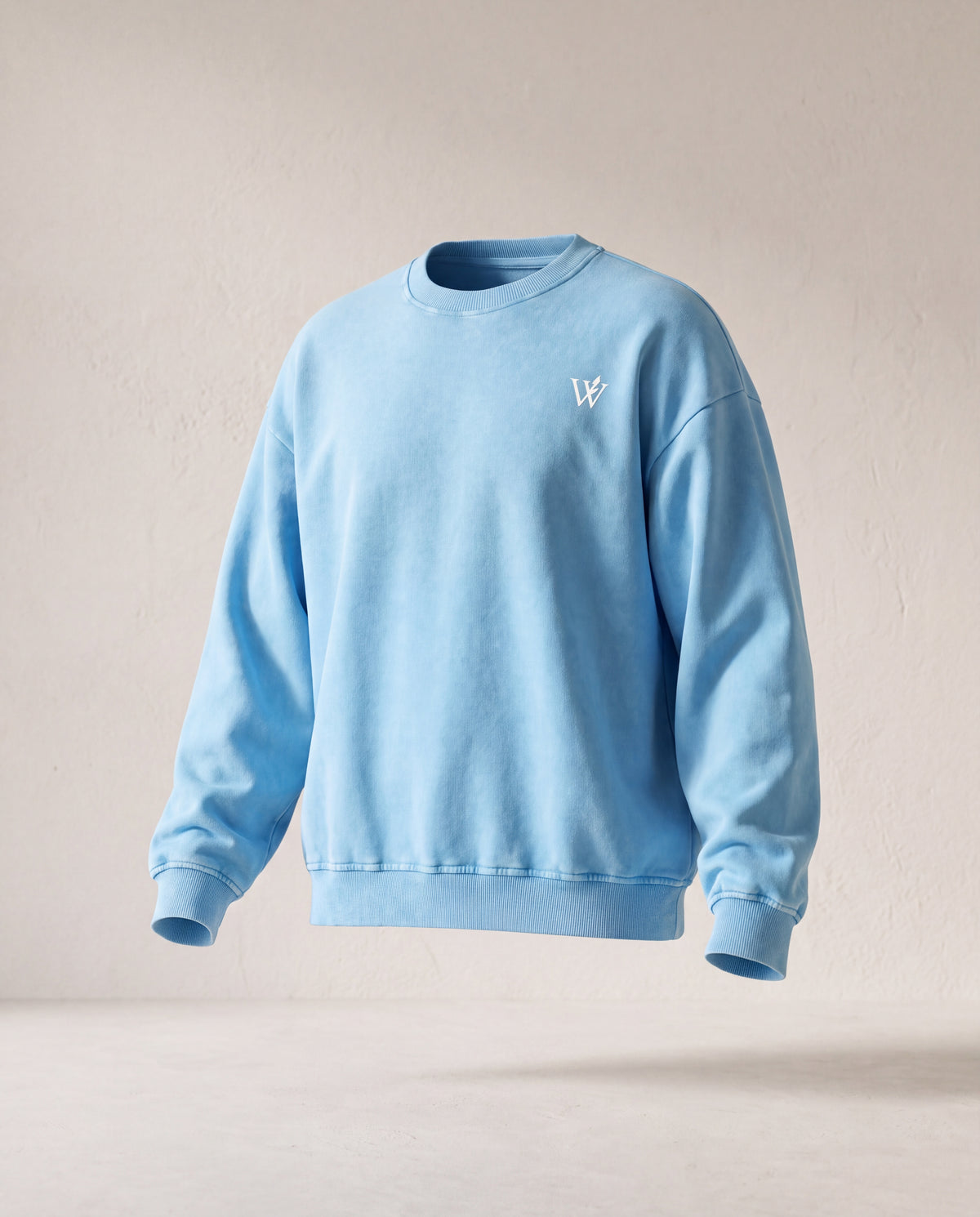 Snow Washed Oversized Sweatshirt