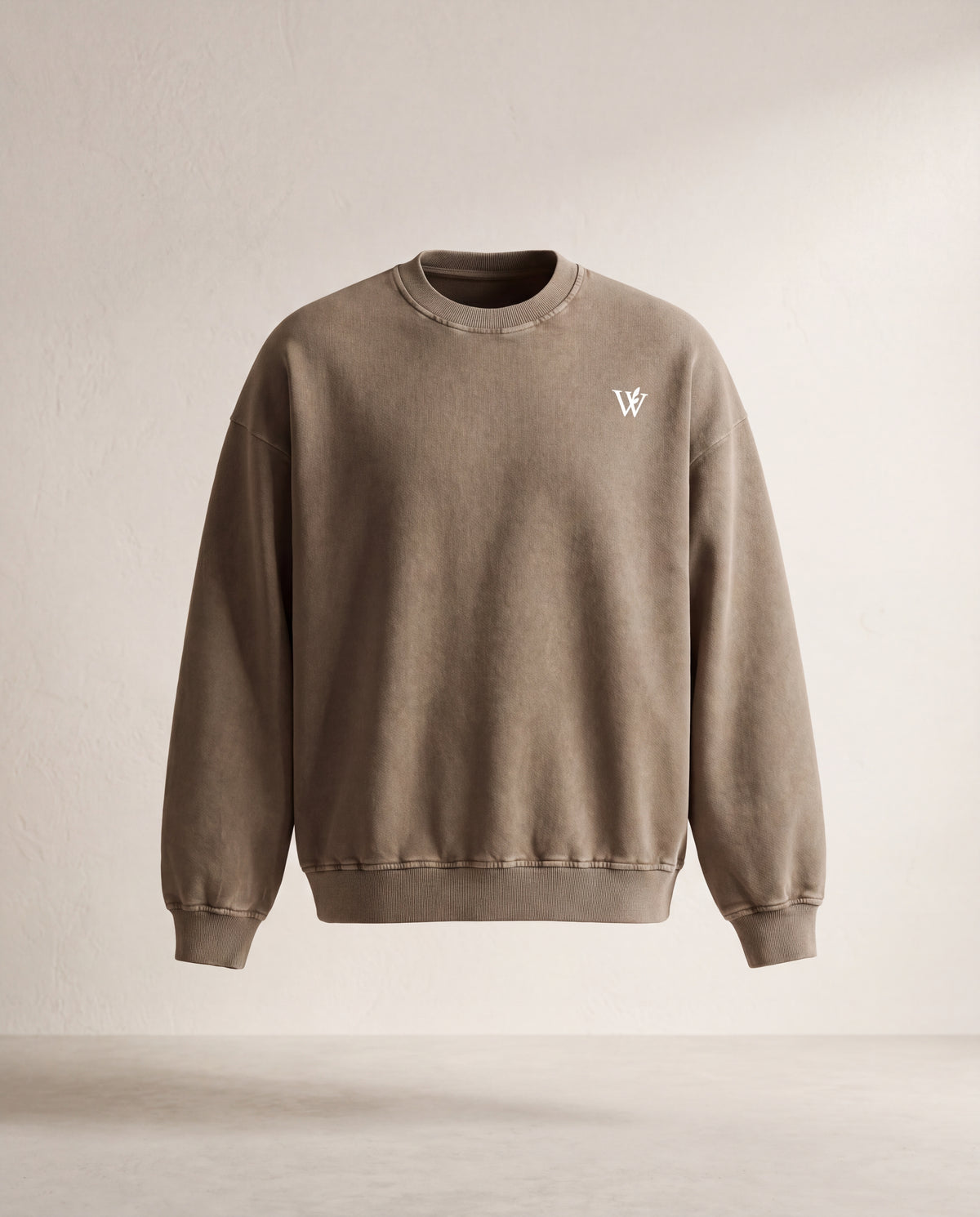 Snow Washed Oversized Sweatshirt