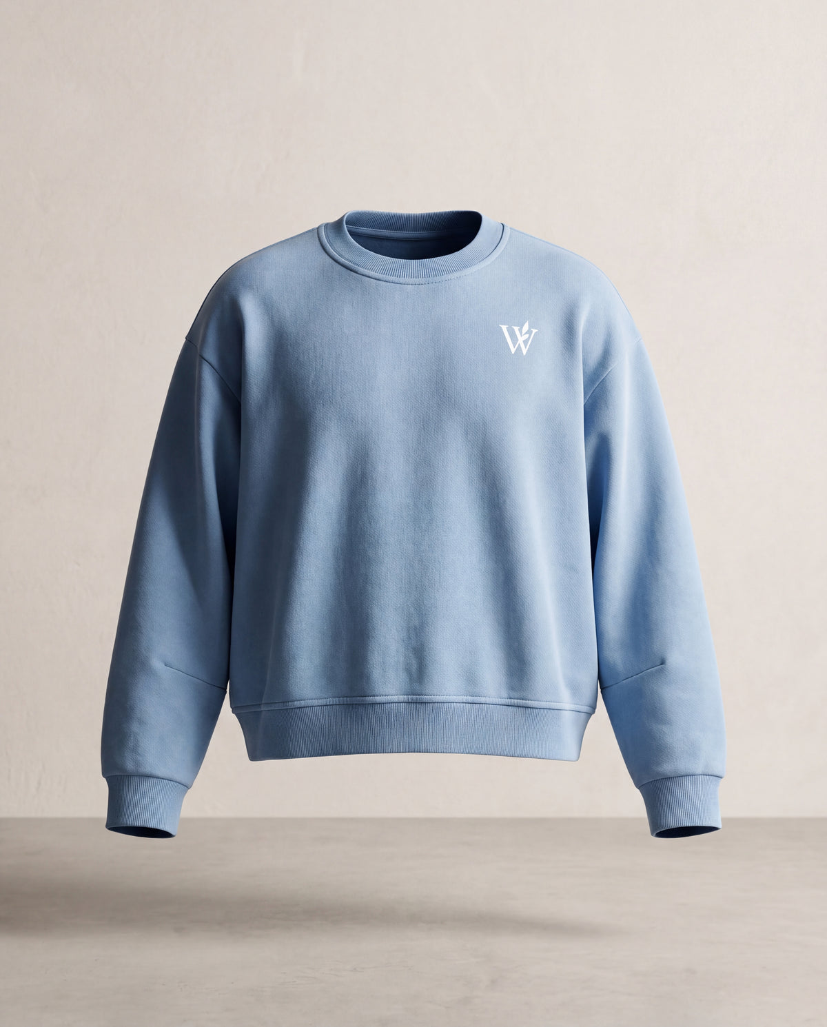 Unisex Boxy Vintage Washed Sweatshirt